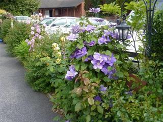 Lavender Bed & Breakfast Chester